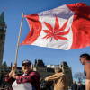Hacia la legalización de la marihuana recreativa en Canadá: procesos y obstáculos